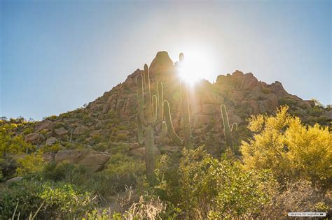 Pinnacle .